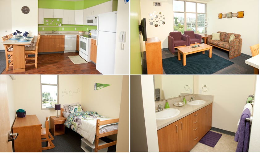 Tại sao nên chọn Cao đẳng Cộng đồng ở Mỹ?