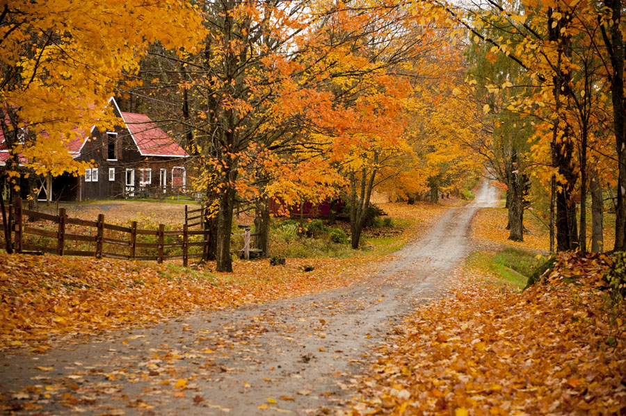Tới bang này của Mỹ sinh sống, bạn sẽ được tặng 10.000 USD