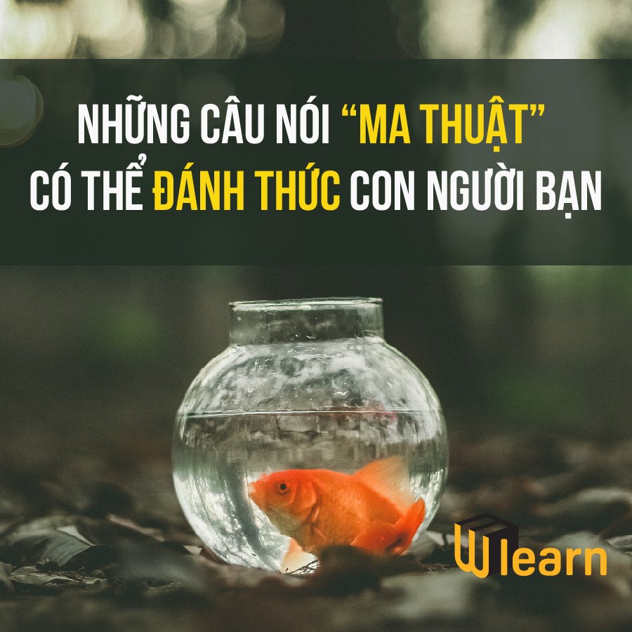 NHỮNG CÂU NÓI 