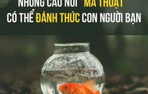 NHỮNG CÂU NÓI 