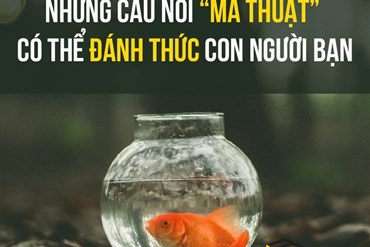 NHỮNG CÂU NÓI 