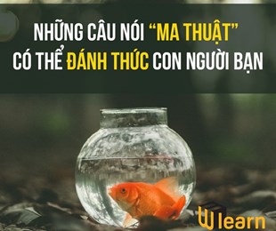 NHỮNG CÂU NÓI 