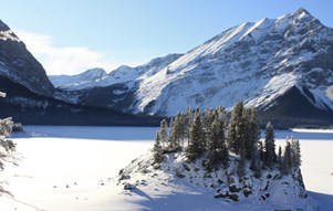 Mùa đông Canada, vẫn sống sót tốt…