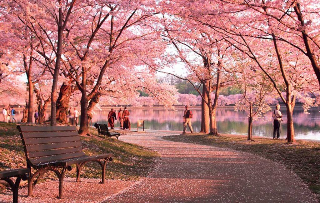 6 tiểu bang nhất định phải đến vào mùa xuân ở Mỹ