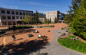 Cơ hội thực tập tại  những tập đoàn hàng đầu thế giới khi học tập tại WESTERN WASHINGTON UNIVERSITY - trường đại học công lập tốt nhất miền tây Hoa Kì