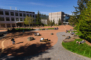 Cơ hội thực tập tại  những tập đoàn hàng đầu thế giới khi học tập tại WESTERN WASHINGTON UNIVERSITY - trường đại học công lập tốt nhất miền tây Hoa Kì