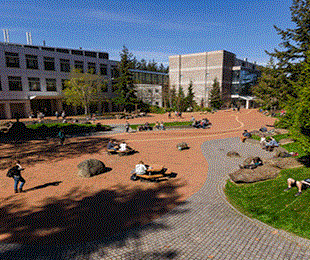 Cơ hội thực tập tại  những tập đoàn hàng đầu thế giới khi học tập tại WESTERN WASHINGTON UNIVERSITY - trường đại học công lập tốt nhất miền tây Hoa Kì