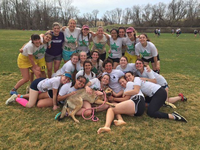 Chuẩn bị hồ sơ du học Mỹ chỉ trong một học kỳ: Nộp đi, đừng sợ !