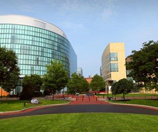 NORTHEASTERN UNIVERSIY - #4 trong bảng xếp hạng các trường đại học kinh doanh tốt nhất nước Mỹ (theo Forbes)