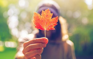 Dành cho những ai sống ở Canada và người sắp qua Canada