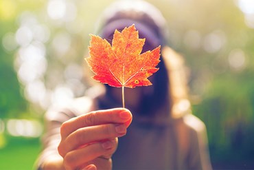 Dành cho những ai sống ở Canada và người sắp qua Canada