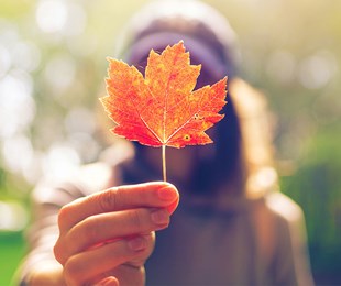 Dành cho những ai sống ở Canada và người sắp qua Canada