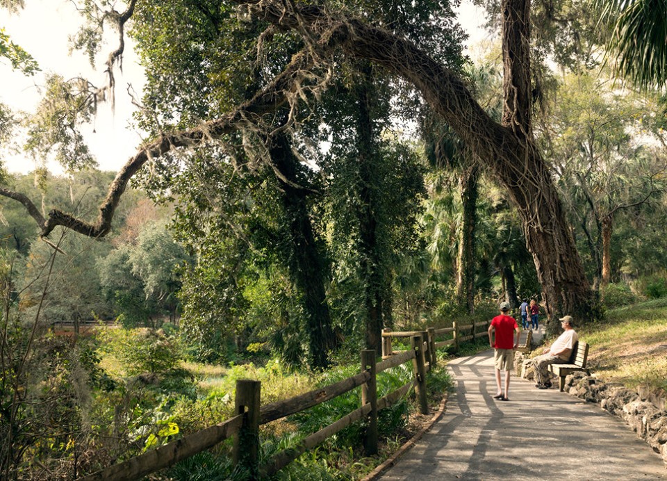 Bang Florida xinh đẹp có điều gì khiến bạn phải mến thương?