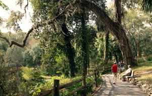 Bang Florida xinh đẹp có điều gì khiến bạn phải mến thương?