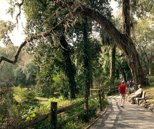 Bang Florida xinh đẹp có điều gì khiến bạn phải mến thương?
