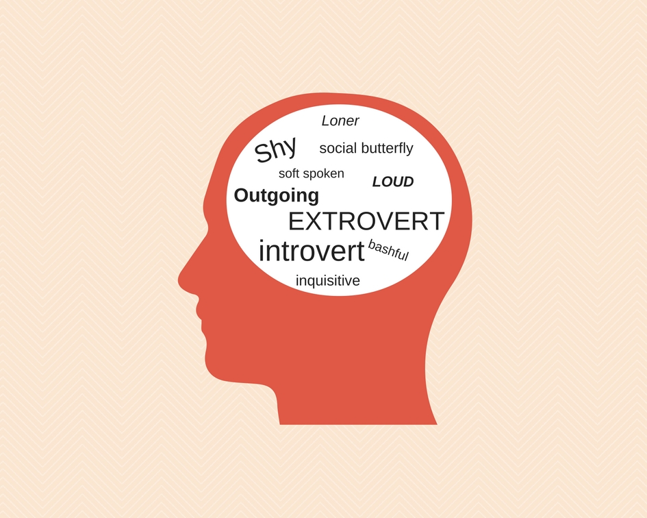 Bí kíp về trẻ hướng nội dành cho các nhà giáo dục 