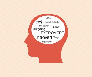 Bí kíp về trẻ hướng nội dành cho các nhà giáo dục 