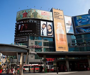Toronto là một trong những thành phố đáng sống nhất trên thế giới. 