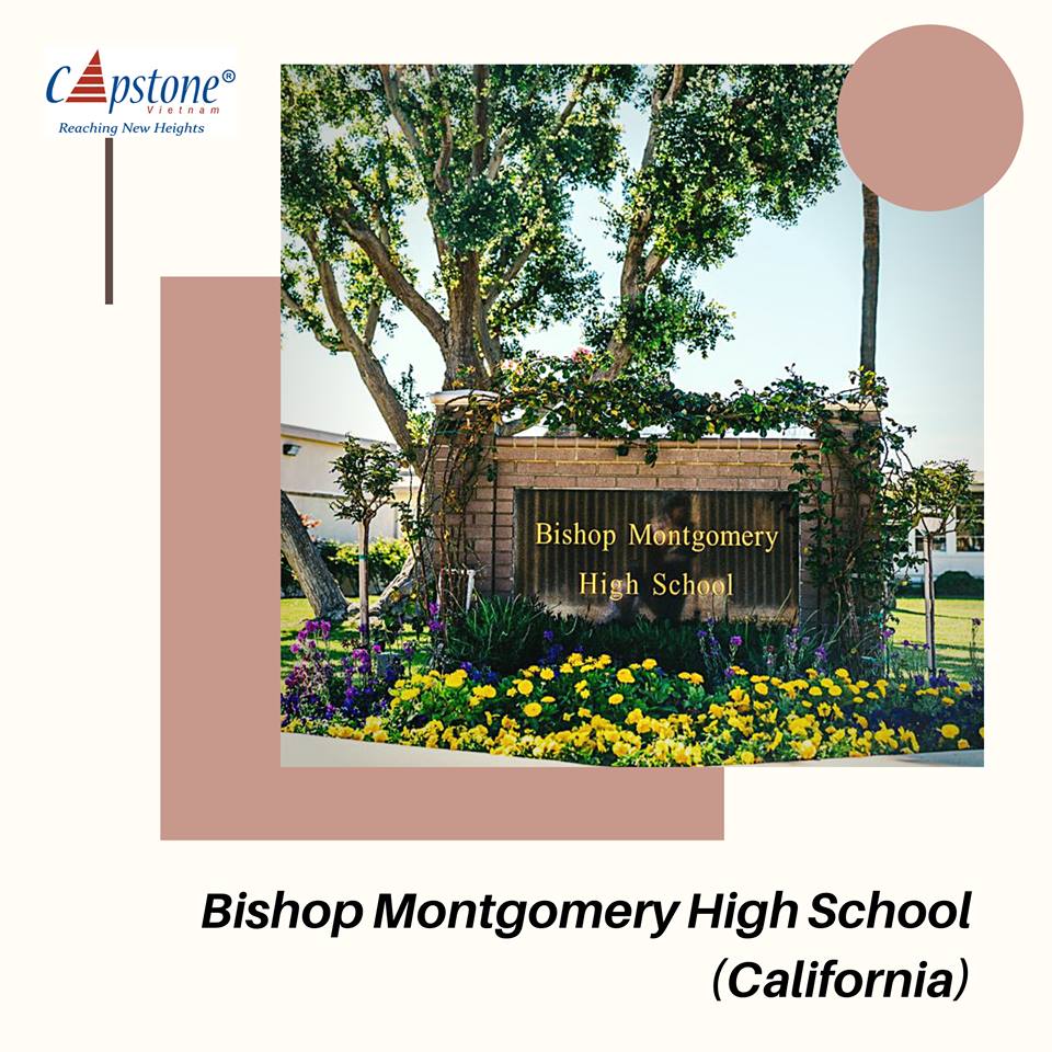 GIA NHẬP GIA ĐÌNH AMERIGO