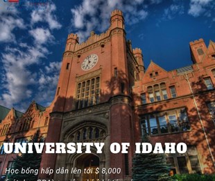 TIN VUI CHO HỌC SINH NHẬP HỌC TẠI UNIVERSITY OF IDAHO KỲ MÙA XUÂN VÀ THU 2020