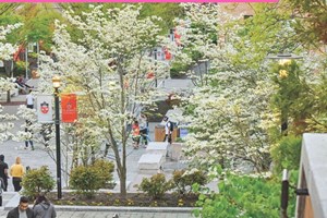 Ngẩn ngơ ngắm campus các trường tại Mỹ khi thu về ( Phần 1)