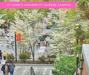 Ngẩn ngơ ngắm campus các trường tại Mỹ khi thu về ( Phần 1)