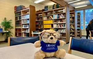 CAPSTONE BEAR và hành trình ghé thăm môi trường đa văn hóa NORTH CEDAR ACADEMY