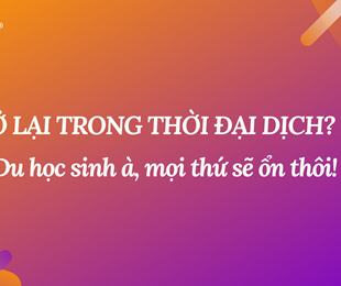 Ở lại trong thời đại dịch? Du học sinh à, mọi thứ sẽ ổn thôi!