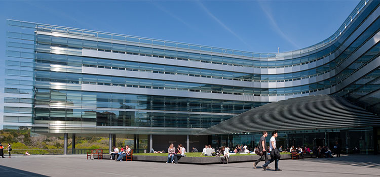 Đừng để dịch bệnh trì hoãn giấc mơ du học, Đại học Auckland New Zealand cho phép học thử dự bị 4 tuần không mất học phí