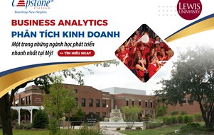 Business Analytics: Phân Tích Kinh Doanh – Một trong những ngành học phát triển nhanh nhất tại Mỹ!