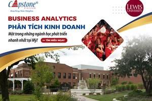 Business Analytics: Phân Tích Kinh Doanh – Một trong những ngành học phát triển nhanh nhất tại Mỹ!