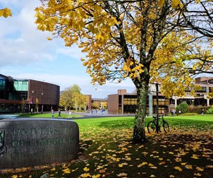 Du học Ireland - Cơ hội học bổng, thực tập có hưởng lương và ở lại làm việc tới 2 năm không cần gia hạn visa tại Đại học Limerick