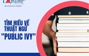 Tìm Hiểu Về Public Ivy