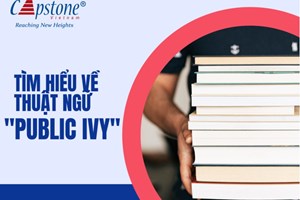 Tìm Hiểu Về Public Ivy