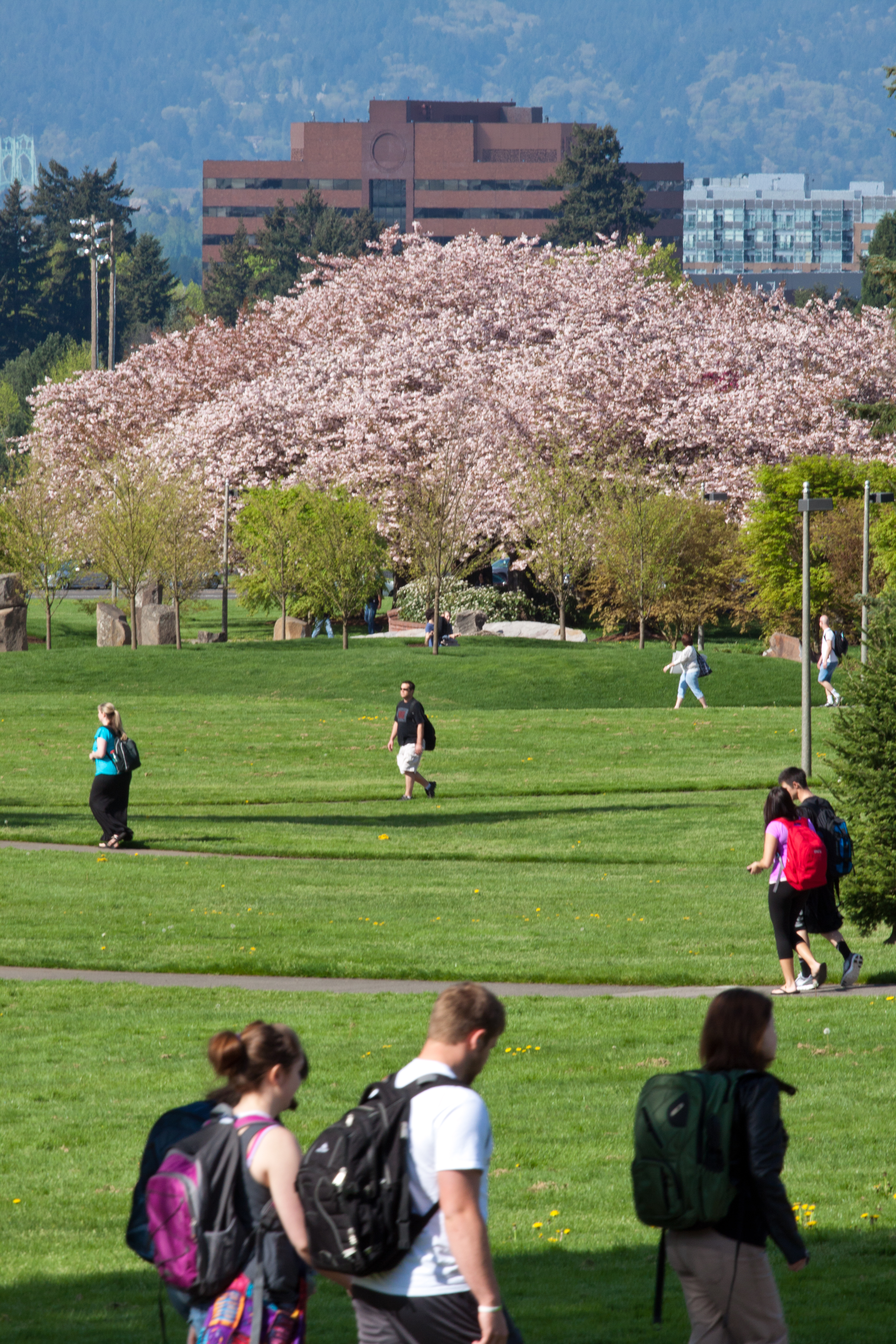 Clark College