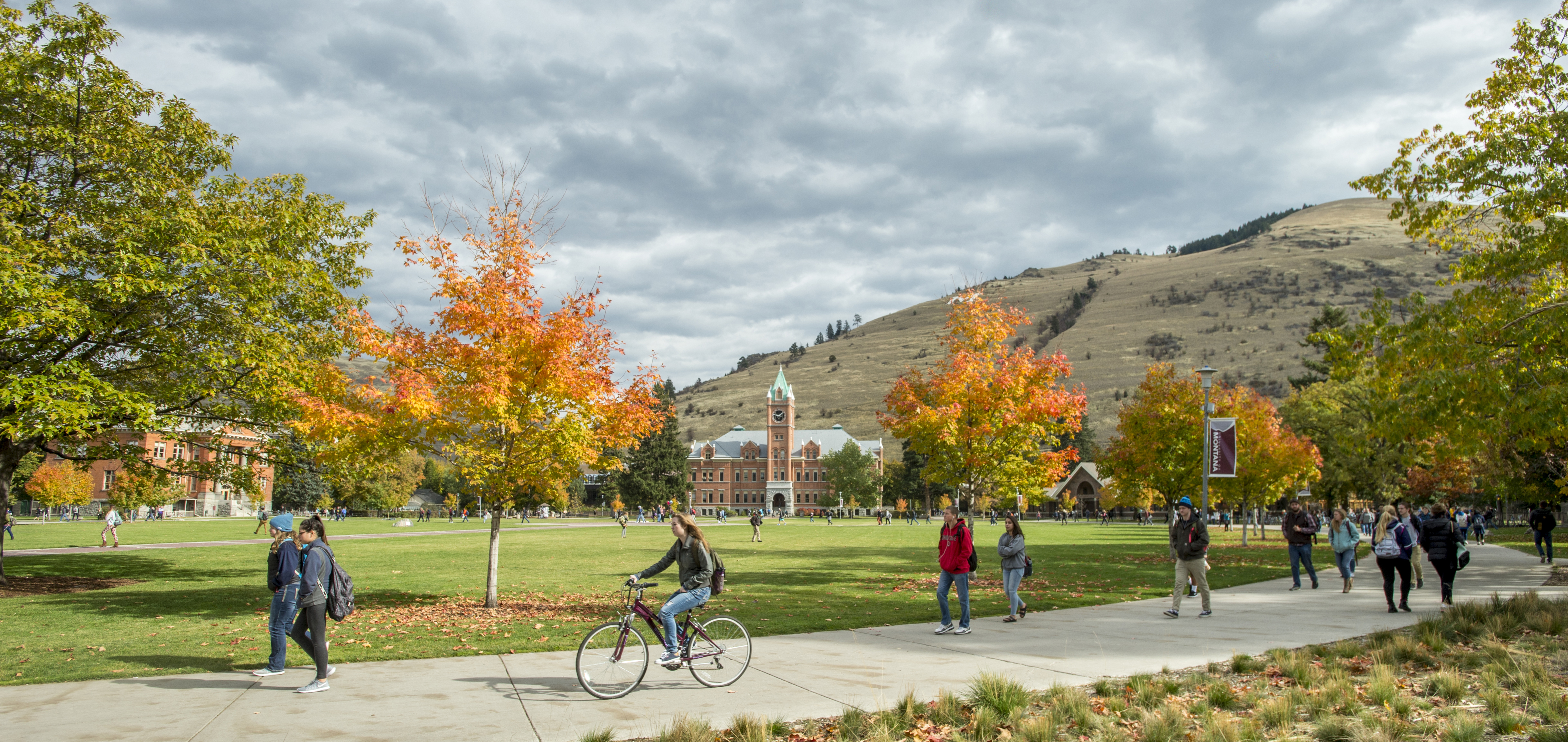 University of Montana