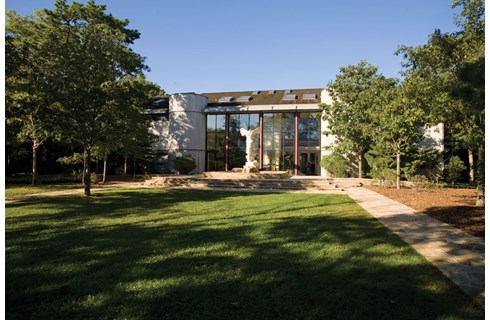 Ross School