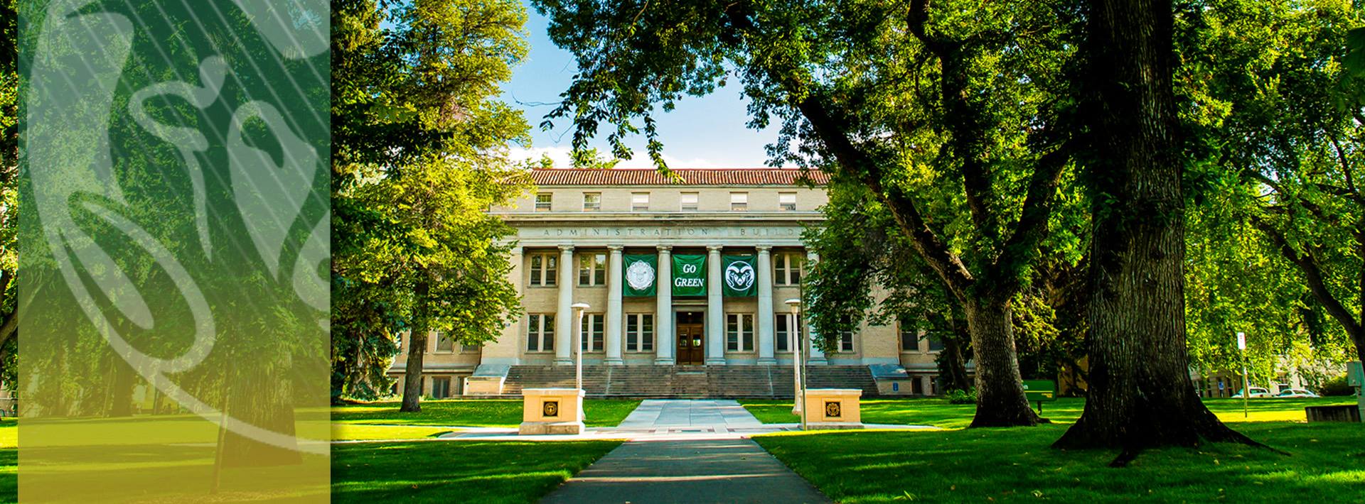 Colorado State University