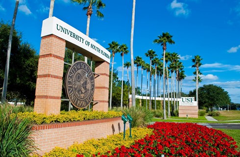 University of South Florida