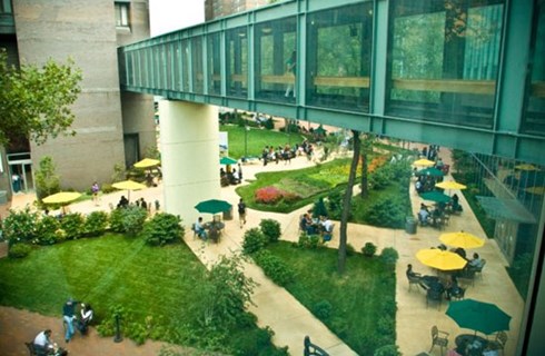 Long Island University Brooklyn