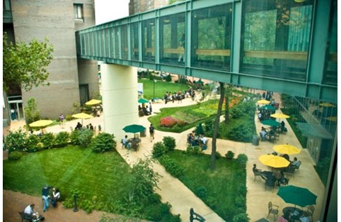 Long Island University Brooklyn