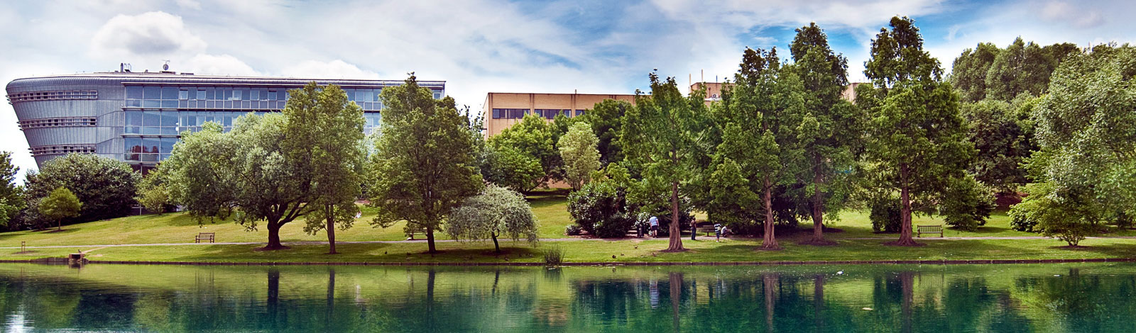 University of Surrey
