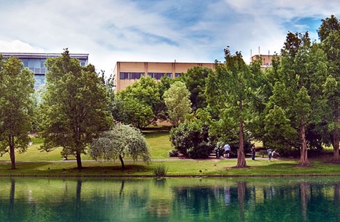 University of Surrey