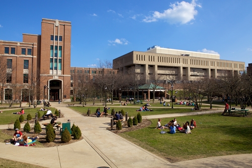 DePaul University