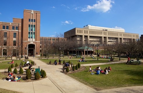 DePaul University