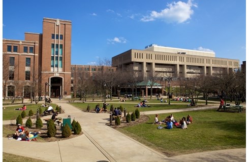 DePaul University