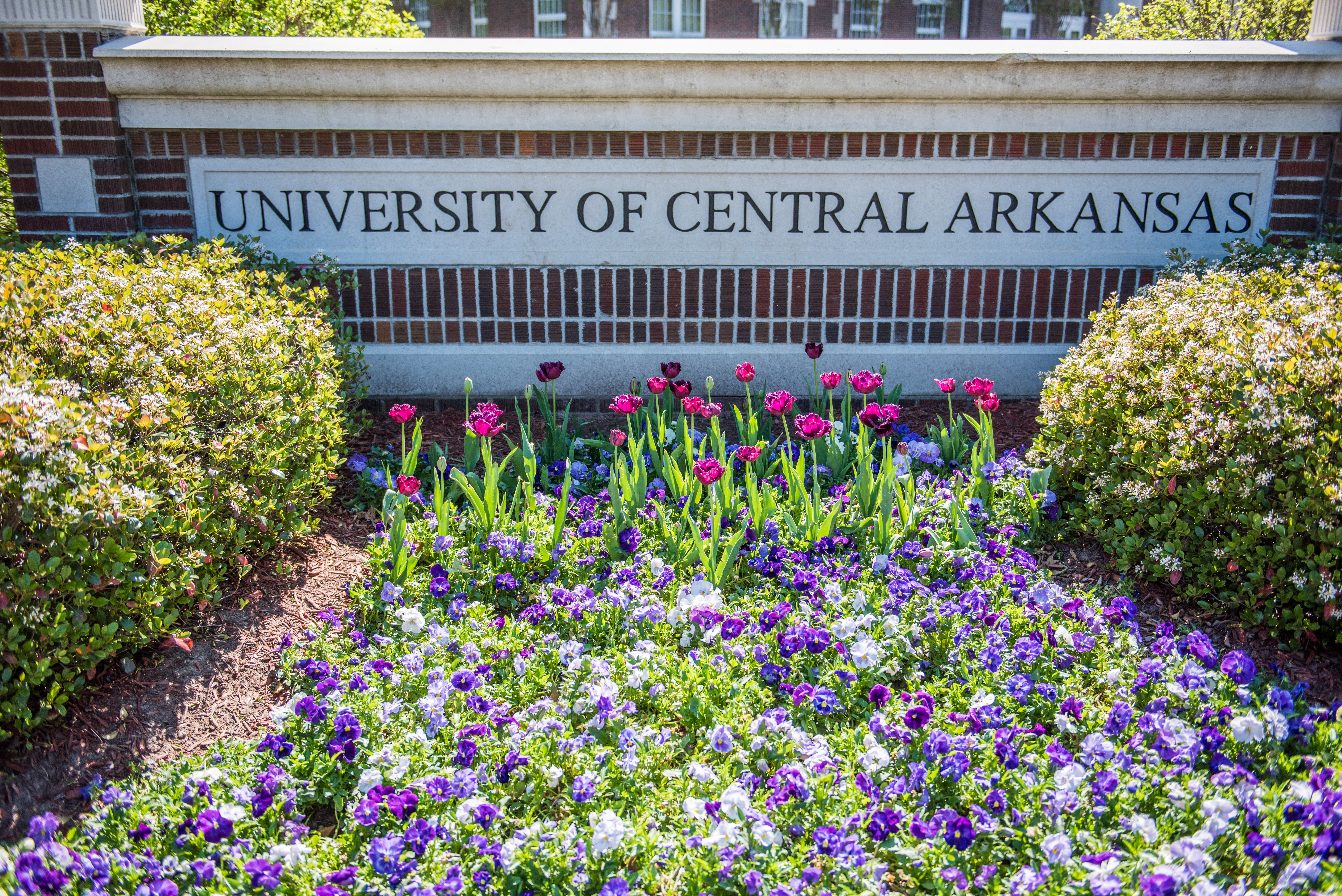 University of Central Arkansas