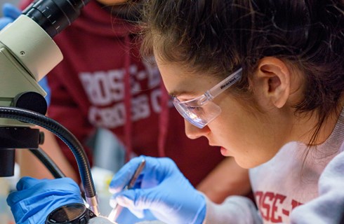 Rose-Hulman Institute of Technology