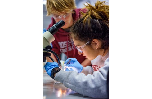 Rose-Hulman Institute of Technology