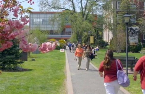 Adelphi University